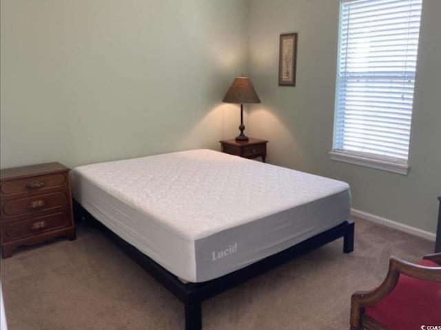 bedroom with carpet flooring