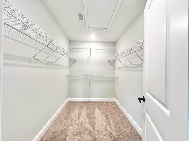 walk in closet with light carpet