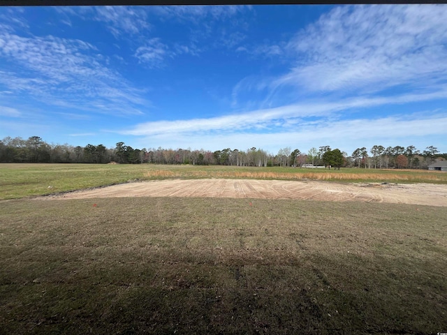 view of yard with a rural view