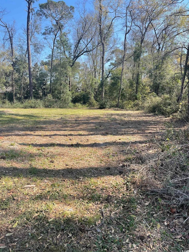 Listing photo 2 for LOT9 Charleston Ct, Myrtle Beach SC 29572