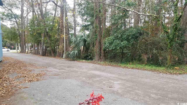 10599 Ocean Hwy, Pawleys Island SC, 29585 land for sale