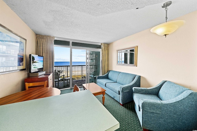 carpeted living room with a textured ceiling and a wall of windows