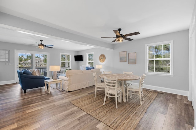 dining room featuring dark wood-type flooring and ceiling fan