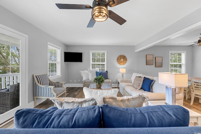 living room with hardwood / wood-style floors and ceiling fan