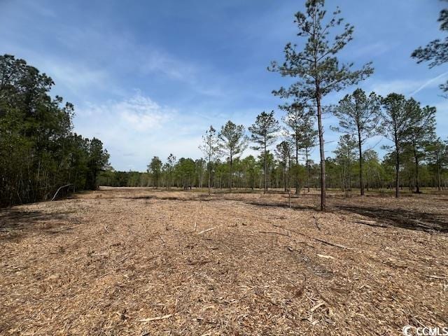 TBD Huckleberry Rd, Galivants Ferry SC, 29544 land for sale