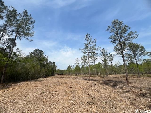 Listing photo 2 for TBD Huckleberry Rd, Galivants Ferry SC 29544