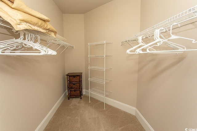 spacious closet with light colored carpet