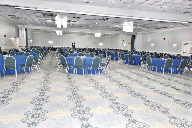 interior space featuring a paneled ceiling and carpet flooring