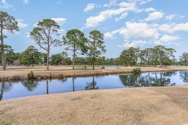 4733 Wild Iris Dr Unit 302, Myrtle Beach, SC 29577 - photo 27
