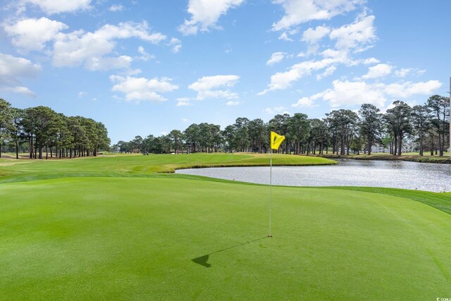 4733 Wild Iris Dr Unit 302, Myrtle Beach, SC 29577 - photo 28
