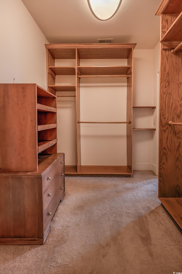 spacious closet featuring light colored carpet