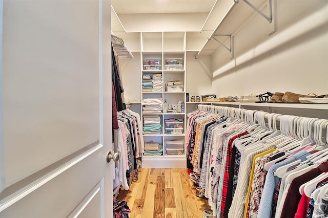 spacious closet with wood-type flooring