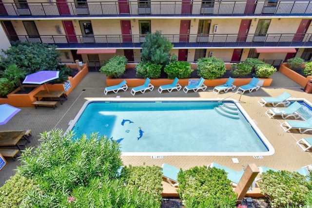 view of pool with a patio area