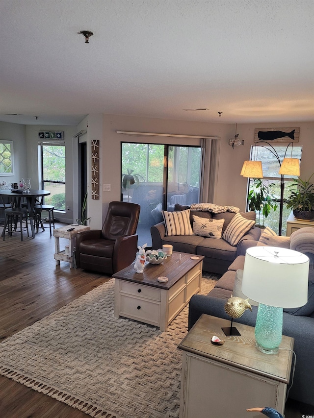 living room with a wealth of natural light and hardwood / wood-style floors