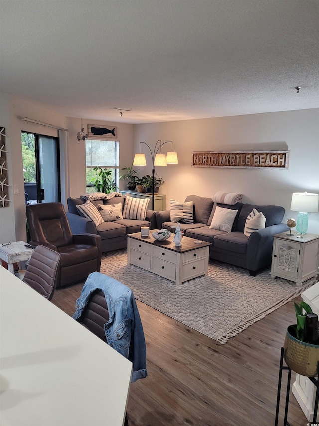 living room featuring hardwood / wood-style flooring