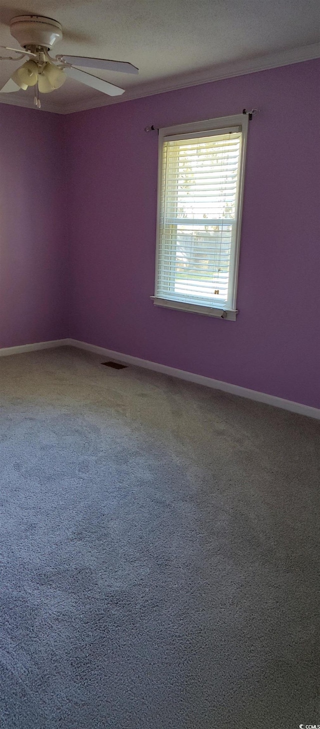 unfurnished room with carpet and ceiling fan