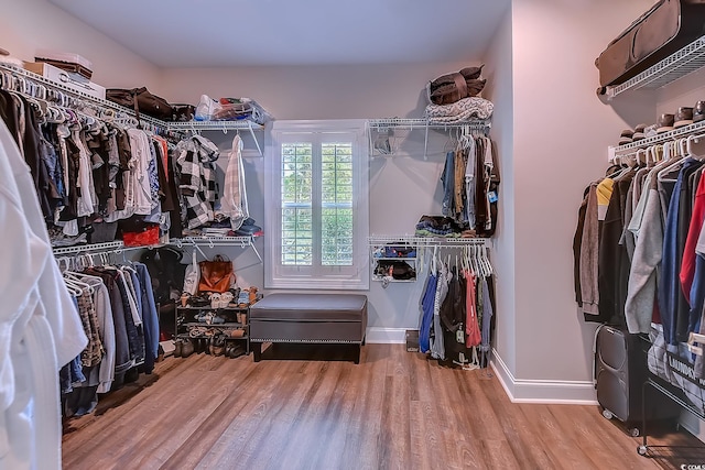 walk in closet with light wood-type flooring