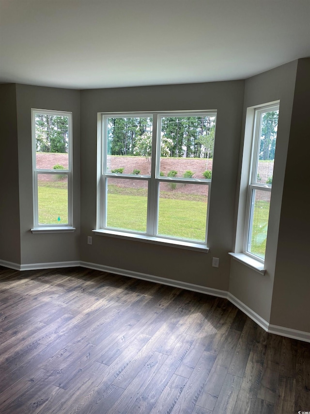 spare room with a healthy amount of sunlight and dark hardwood / wood-style floors