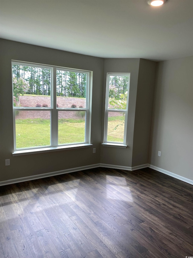 spare room featuring dark wood-type flooring