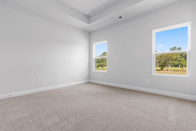 spare room featuring plenty of natural light and carpet floors