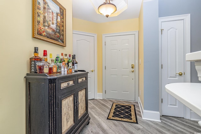 foyer with hardwood / wood-style floors