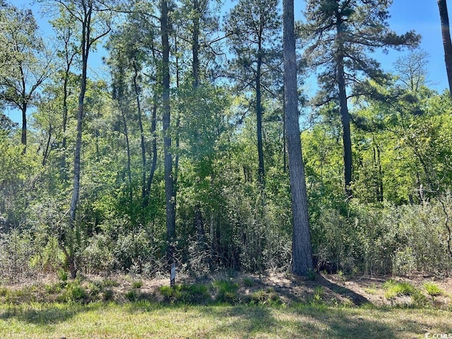 Hamp Rd, Marion SC, 29571 land for sale