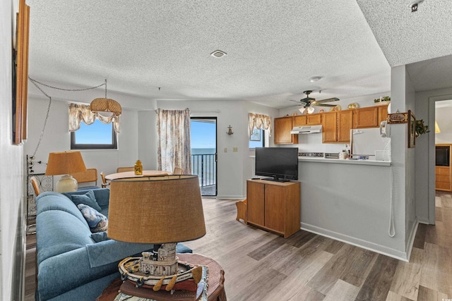 living room featuring wood-type flooring, a textured ceiling, and ceiling fan