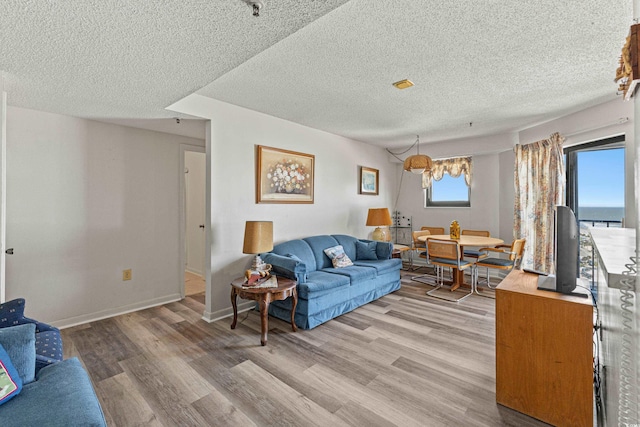 living room with a textured ceiling and hardwood / wood-style flooring