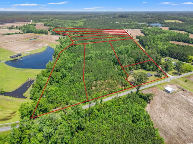 TBD Daisy Rd, Loris, SC 29569 - photo 3