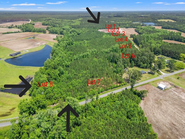 TBD Daisy Rd, Loris, SC 29569 - photo 4