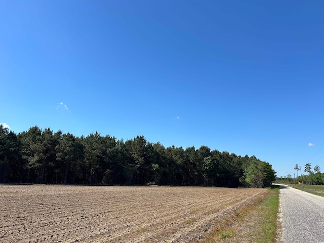 TBD Mcclellan Rd, Hamer, SC 29547 - photo 1