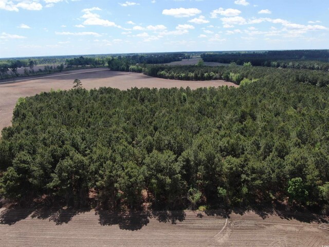 TBD Mcclellan Rd, Hamer, SC 29547 - photo 4