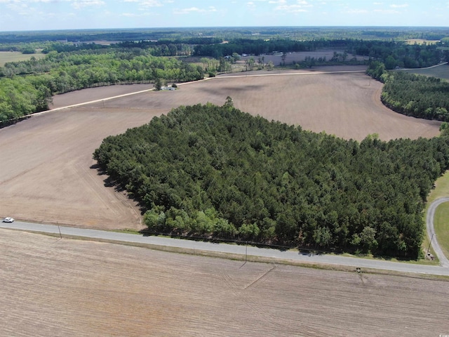 TBD Mcclellan Rd, Hamer, SC 29547 - photo 5