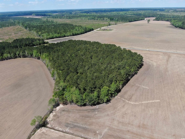 TBD Mcclellan Rd, Hamer, SC 29547 - photo 6