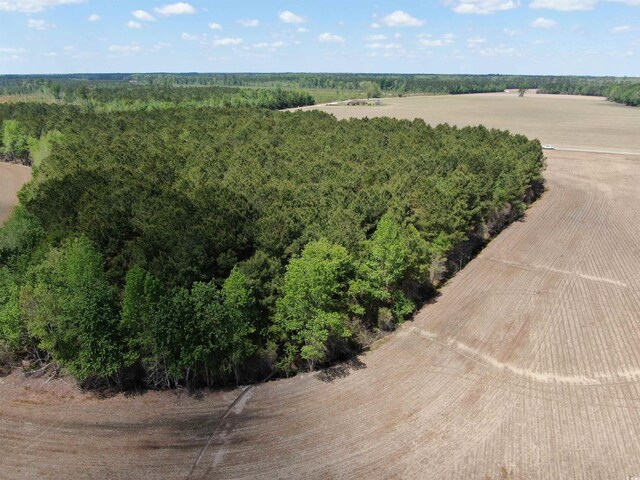 TBD Mcclellan Rd, Hamer, SC 29547 - photo 7