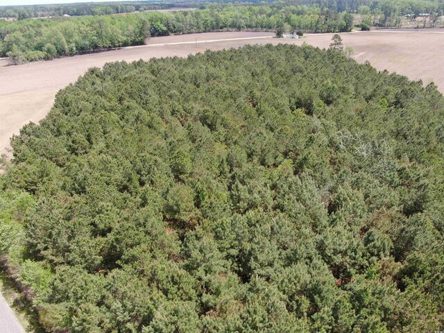 TBD Mcclellan Rd, Hamer, SC 29547 - photo 8