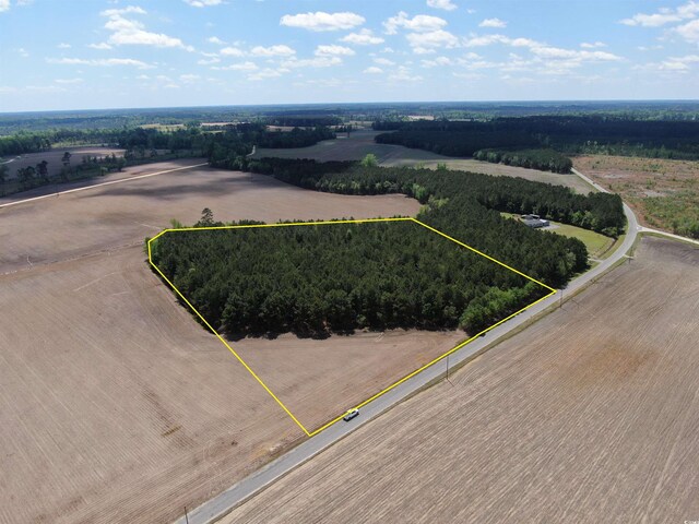 TBD Mcclellan Rd, Hamer, SC 29547 - photo 10