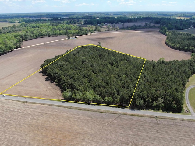 TBD Mcclellan Rd, Hamer, SC 29547 - photo 11