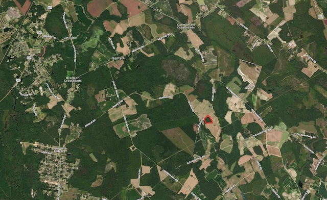 TBD Mcclellan Rd, Hamer, SC 29547 - photo 12