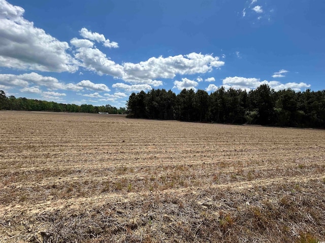 TBD Mcclellan Rd, Hamer, SC 29547 - photo 15