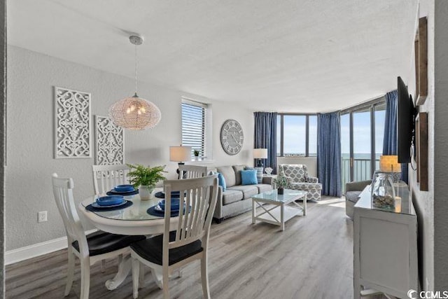 dining space featuring hardwood / wood-style flooring