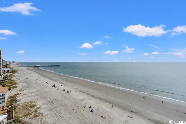 water view featuring a view of the beach