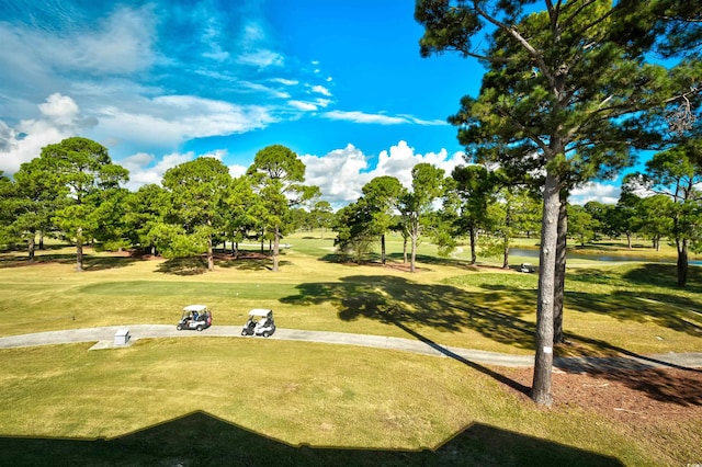 view of nearby features featuring a lawn