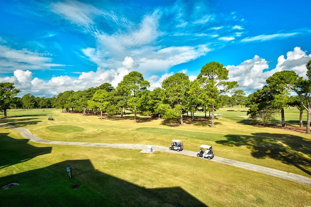 view of property's community featuring a yard