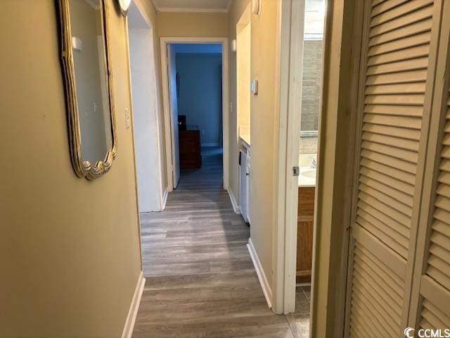 hallway with hardwood / wood-style flooring