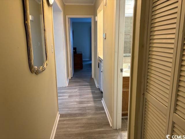 212 2nd Ave N Unit 362, North Myrtle Beach, SC 29582 - hall featuring crown molding, baseboards, and wood finished floors