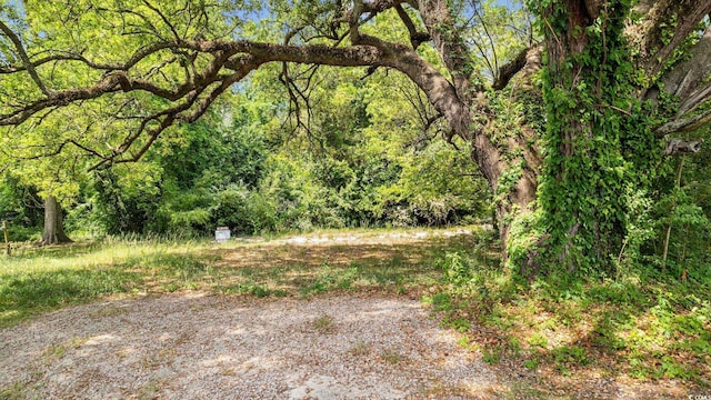 411 Apple Ln, Conway SC, 29527 land for sale