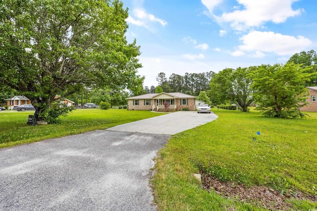 ranch-style home with a front yard