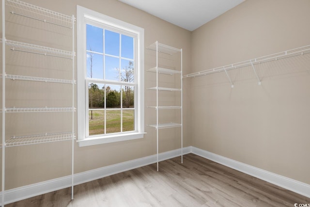 spacious closet with hardwood / wood-style flooring