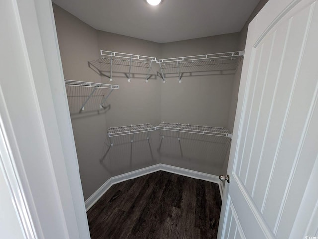 walk in closet with wood finished floors